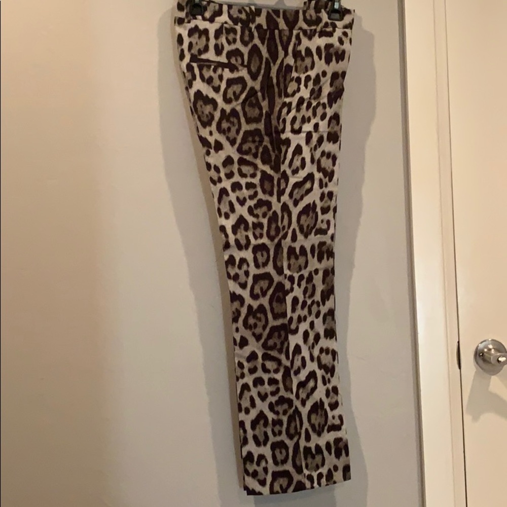 Zara leopard pants.